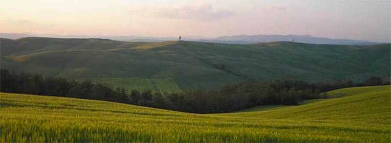 crete senesi